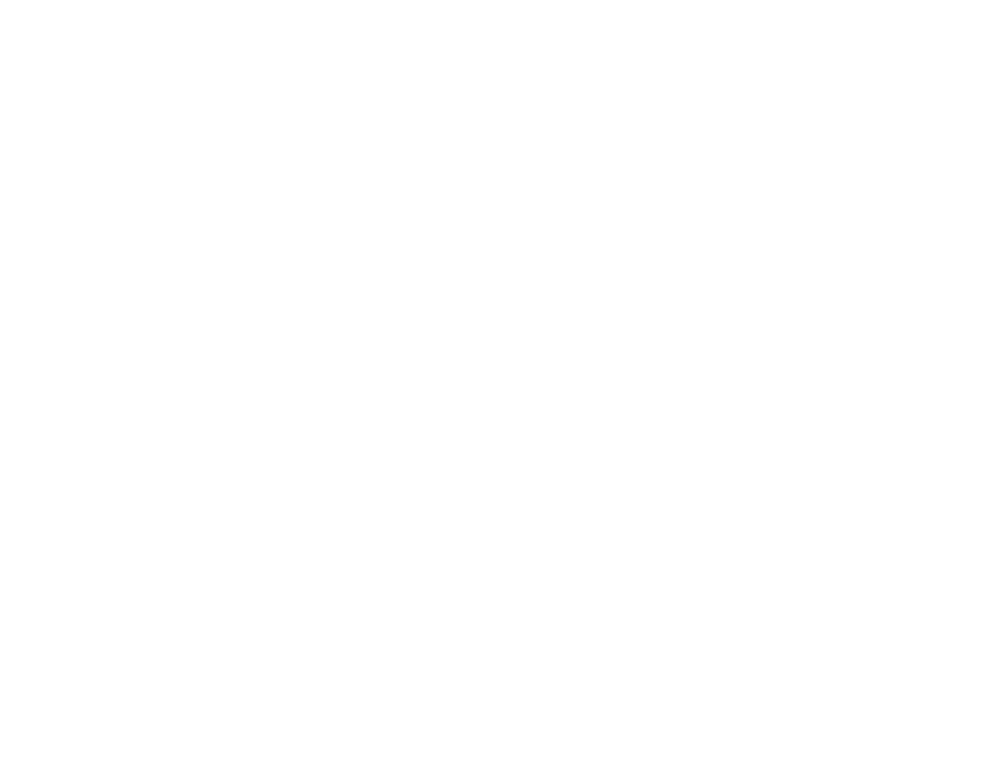 2023-New-LOGO-LYONS_bianco